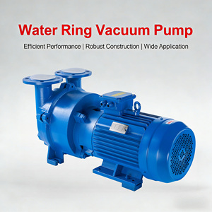 Pompe à vide à anneau liquide monophasée NASH série 2BV 7,5 kW 10 CV, prix compétitif, du fabricant chinois, en vente - Product Image 1