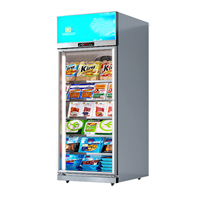 Réfrigérateur congélateur vertical à affichage avec porte en verre anti-buée pour aliments congelés poulet viande glace supermarché congélateur vertical