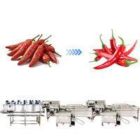 Kwaliteitsborging Automatische Paprika & Chili Pepermolen Efficiënte Voedselverwerkingsmachine Chili Verwerkingsmachine