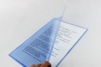 Dossiers de fichiers d'entreprise A4/A6 avec logo personnalisé d'usine en Chine PP Dossiers de fichiers de présentation de documents en papier blanc