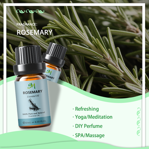 Huile de romarin en gros Fabricant de romarin Fournisseur Huile essentielle de romarin pour l'aromathérapie en intérieur pour rafraîchir - Product Image 3