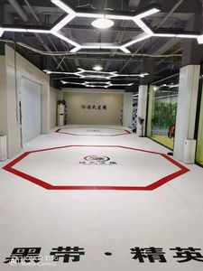 Maidong <span class=keywords><strong>Wrestling</strong></span> <span class=keywords><strong>Mats</strong></span> para la Venta usado Flexi Roll Tatami Judo Matten barato usado <span class=keywords><strong>Wrestling</strong></span> <span class=keywords><strong>Mats</strong></span> - Product Image 4