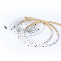 Tiras de Luces LED RGBW Digitales de Alta Calidad y Popularidad de 24 V, 784 LED, 896 LED, WS2814, Control Remoto