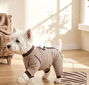 Roupa para Cães de Flanela Outono/Inverno, Camada Base de Quatro Patas com Listras e Cordão para Coleira; Roupa Casual Quente, Confortável e Versátil para Pets, Perfeita - Product Image 2