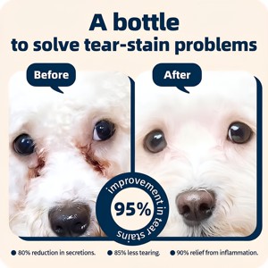 OEM ODM cane collirio gatti veterinario-trattamento di infezione raccomandato lenire l'infezione <span class=keywords><strong>allergia</strong></span> <span class=keywords><strong>per</strong></span> alleviare gli <span class=keywords><strong>occhi</strong></span> secchi Pet crack Cleaner - Product Image 4
