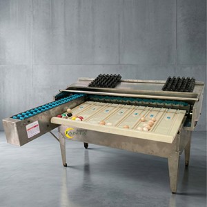 Máquina Automática para Clasificar Huevos, 4500 Huevos por Hora, Construcción de Acero Inoxidable con Carro, Equipo de Procesamiento de Huevos - Product Image 1