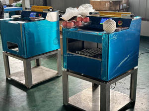 Los platos preparados LPMIE se envían a la máquina de envasado, se envuelven en film transparente y luego se envían a la máquina de envasado. - Product Image 6