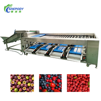 Machine de tri de fruits de petite taille Shepody en acier inoxydable 304 pour l'agrumation des avocats, raisins, fraises, fruits secs et légumes