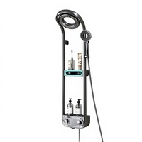 Juego de ducha inteligente de lujo ligero con doble grifo LED, barra deslizante, pantalla digital inteligente y temperatura constante al por mayor