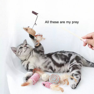 Eco-Friendly Teething Boredom Relief Teaser Sticks Replaceable Mouse Feathers Interactive Entertainment <strong>Seven</strong>-Piece <strong>Cat</strong> Toys Set - Product Image 6
