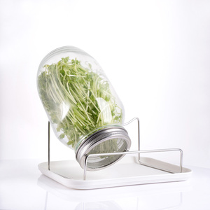 Kit <span class=keywords><strong>de</strong></span> Germinación <span class=keywords><strong>de</strong></span> Semillas al por Mayor, <span class=keywords><strong>Frasco</strong></span> <span class=keywords><strong>de</strong></span> <span class=keywords><strong>Vidrio</strong></span> <span class=keywords><strong>de</strong></span> Grado Alimenticio <span class=keywords><strong>de</strong></span> 50 oz Libre <span class=keywords><strong>de</strong></span> BPA con Tapa <span class=keywords><strong>de</strong></span> Acero Inoxidable - Product Image 5
