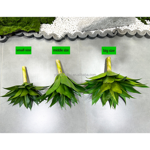 Usine Hot Seller Haute Simulation <span class=keywords><strong>Tropical</strong></span> Désert Plante Agave Aménagement Paysager Décoration Plante Artificielle - Product Image 5