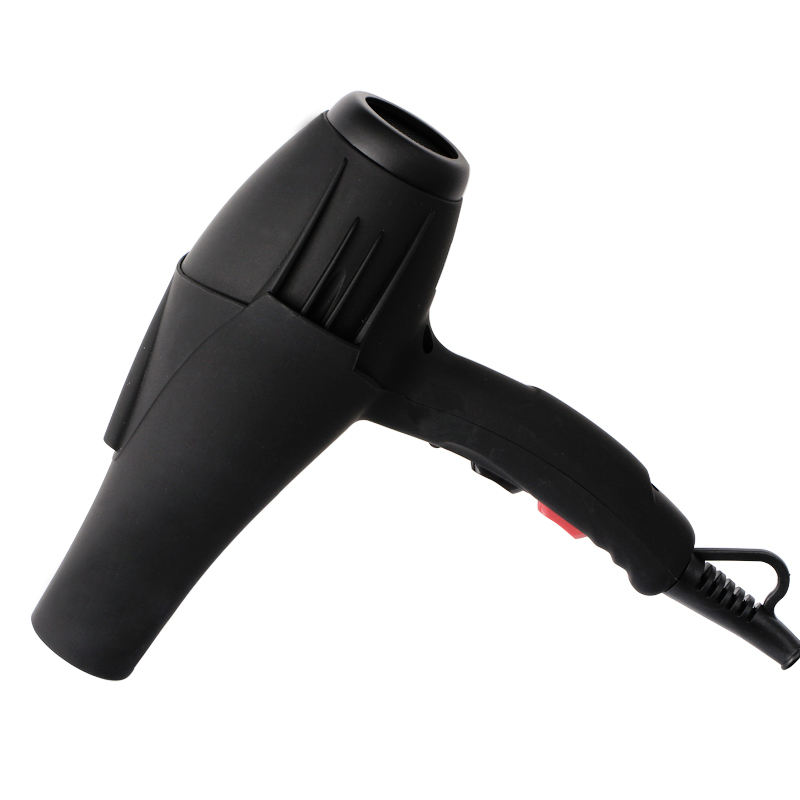 Rucha Beauty Reasonable Price Electric Hair Dryer 2000W Professional High  Powerful Hair Blower with Private Label