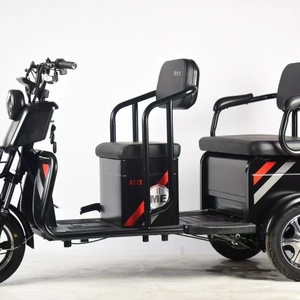 Tricycle électrique 600W/800W/1000W, tricycle électrique pas cher pour adultes - Product Image 5