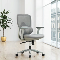 Chaise de bureau ergonomique moderne entièrement en maille pivotante avec soutien lombaire réglable, mousse à mémoire de forme, accoudoirs réglables et base coulissante en plastique