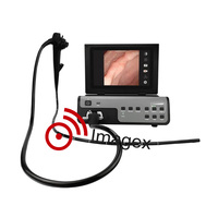 Système d'endoscopie vidéo gastrique et coloscopique vétérinaire HD tout-en-un pour cliniques vétérinaires