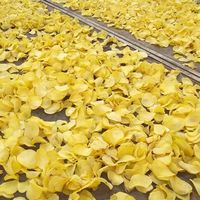 500 Kg Volautomatische Vers Gesneden Knapperige Aardappelchips Makende Machine Nieuwe Staat Op Fruit Gebaseerde Frites Frituren Verwerkingslijn