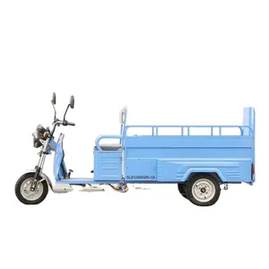 Free Shipping New Produce Low Price High Quality Long Range Dumping Electric Tricycle 3 Wheels Cargo Electric Tricyclell