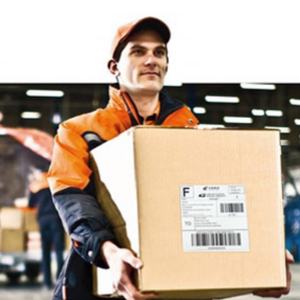 Etiquetas Autoadhesivas Personalizables de Plástico Resistente al Agua, al Aceite y a los Arañazos, con Adhesivo Fuerte, Directo de Fábrica - Product Image 5