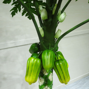 Plantes artificielles vertes PE 3m pour <span class=keywords><strong>la</strong></span> maison et le bureau Décoration en plastique Grand <span class=keywords><strong>papaye</strong></span> - Product Image 5
