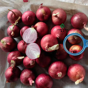 Oignons Biologiques Frais en Gros du Moyen-Orient, Bulbes Entiers de 5-8 cm, Sacs de 10 kg Poids Net, Directement de Shandong - Product Image 4