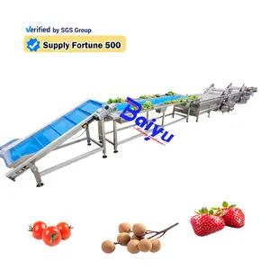 Baiyu Vegetable Processing Machine Lettuce Wash Line Fruit Tomatoes Washing Line