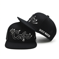 Casquette de plage et streetwear performante à 6 panneaux en sergé de coton de haute qualité, avec logo brodé 3D personnalisé OEM/ODM