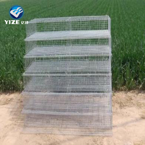 Gabbia automatiche per la raccolta di uova 200 per 600 gli uccelli Vendita calda in Malesia gabbie di quaglia per la produzione di uova - Product Image 4