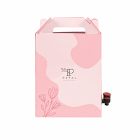 Pochettes personnalisées 3L 5L en boîte, anti-humidité, thermoscellables, en PE, avec valve distributeur pour vin, bière, jus, boissons énergisantes, impression par gravure