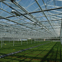 Serres agricoles en verre Système hydroponique Venlo Type Green House à vendre