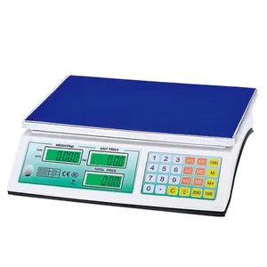 acs system electronic scale manual