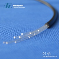 Cable de Fibra Óptica Multicore con Luz Estelar para Piscina, Rollo de Fibra Óptica con Extremo Luminoso