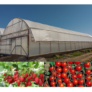 Specialized tomatenkweekkas met mobiele banken en groeilampen voor gezonde, sterke planten - Product Image 6