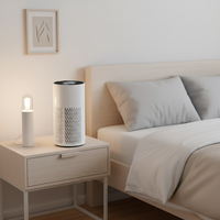 Purificateur d'air HEPA silencieux pour la maison, idéal pour les allergies, les animaux domestiques et la fumée, avec minuterie et mode veille