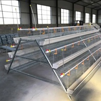 Conception moderne de cage à poules pondeuses, type N, cages à nids pour poules pondeuses, batterie à poules, poulailler pour poulets, capacité de 160 oiseaux, prix