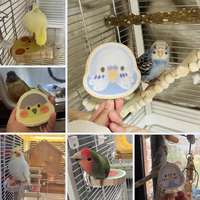 Accessoires mignons pour cage à oiseaux : Plateforme de ponçage des griffes rugueuse, Perchoir en bois pour perroquet, pour perruche, calopsitte, agapornis