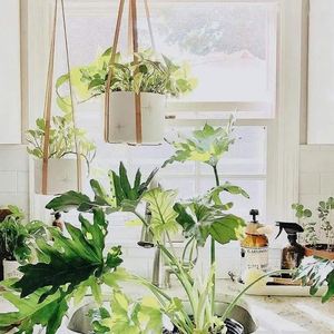 Panier à pain suspendu artisanat maison paniers muraux décor Boho plat balcon décoration luxe fleurs à plusieurs niveaux plastique 12 pouces fil - Product Image 2