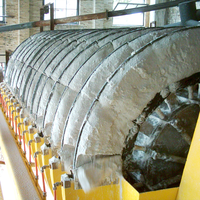 Filtre à disque céramique fabriqué en usine pour la déshydratation des boues minières, équipement à faible humidité pour la production de gâteau filtrant