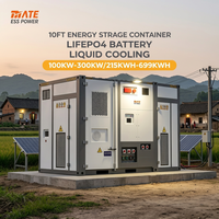 Container per Accumulo Energetico da 10FT 100kW 215kWh 300kW 699kWh Sistema di Accumulo a Batteria LiFePO4 BESS per Microgrid di Villaggi di Montagna