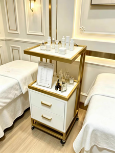 New High Quality Beauty <b>Tool</b> Collecting Salon Trolley Rolling Multi-function Gold Frame Beauty Trolleys <b>Cart</b> With Double Storage - Product Image 3