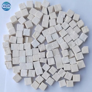 Tónico Tradicional Chino: Polvo Crudo de Poria Cocos Silvestre para la Salud del Baño Estomacal y el Acondicionamiento Corporal (Materia Prima) - Product Image 1