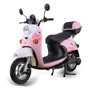 Nuovo standard nazionale Turtle King adulto uomo e donna moto elettrica 2000W motore durevole scooter elettrico