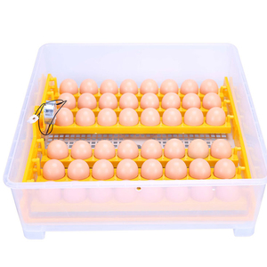 Máy Ấp Trứng 48 Trứng Với Nhiệt Độ Ấp Trứng Gà Mái - Product Image 5