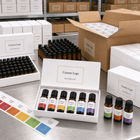 Recharge d'huile parfumée pour diffuseur à roseaux personnalisé avec notes aromatiques et fraîches pour l'arôme de la maison