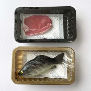 Empaque Ecológico Desechable para Carne, para Uso Doméstico, para Mariscos, Alimentos Blancos/Negros, un Producto Ecológico - Product Image 4