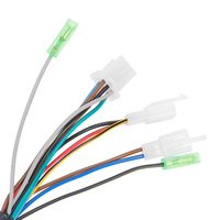 Customized Motorcycle Main Harness Wire for BAJAJ BOXER Factory Direct Supply for Electrical Systems