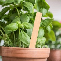 Estacas de madera puntiagudas para jardín, tiras de madera rectas para soporte de vegetales y cultivos en el patio trasero, suministro a granel