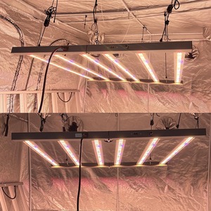 Luces de Cultivo LED de 720 Vatios 2025, <span class=keywords><strong>Luz</strong></span> de Cultivo LED de Espectro Completo Samsung de 700 Vatios, <span class=keywords><strong>la</strong></span> <span class=keywords><strong>Más</strong></span> Económica, Área de 4x4 para Cultivo y Floración en Interiores - Product Image 3