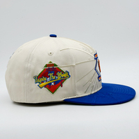 Casquettes de baseball ajustables à 6 panneaux, brodées de haute qualité, bicolores, avec broderie 3D, design vintage, sport, hip-hop, mode