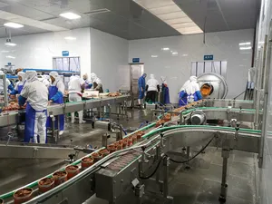 Equipamentos de Conservas De peixe Máquina de Linha de Produção De Alimentos Enlatados de Sardinha Em Conserva